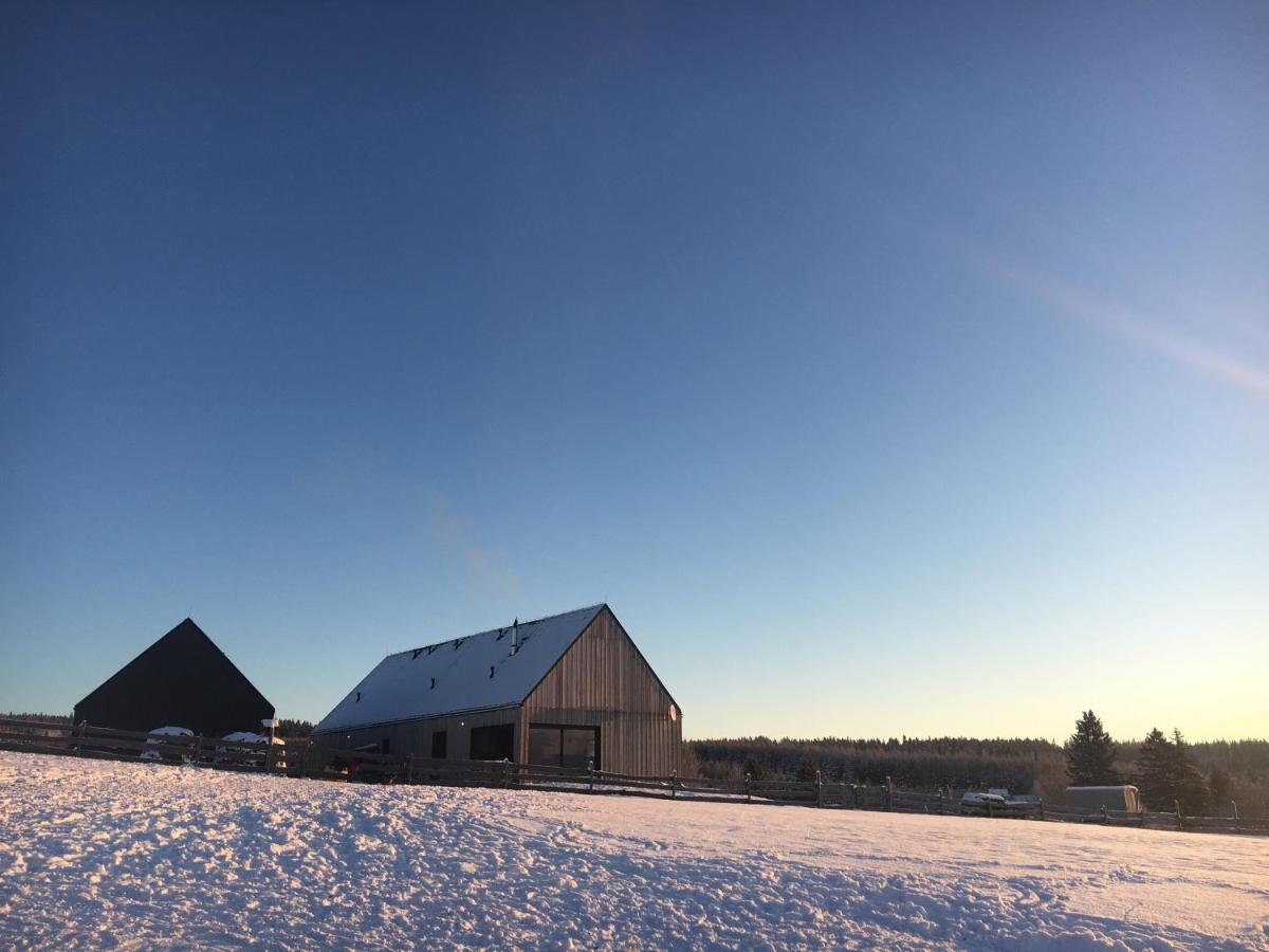 Wzgorze Owiec Sheep Hill Mostowice Экстерьер фото