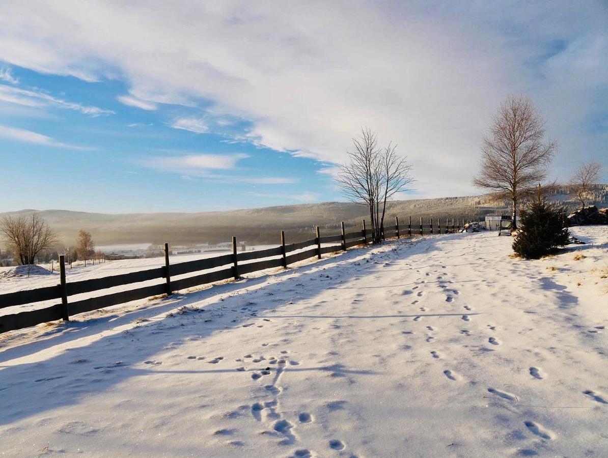 Wzgorze Owiec Sheep Hill Mostowice Экстерьер фото