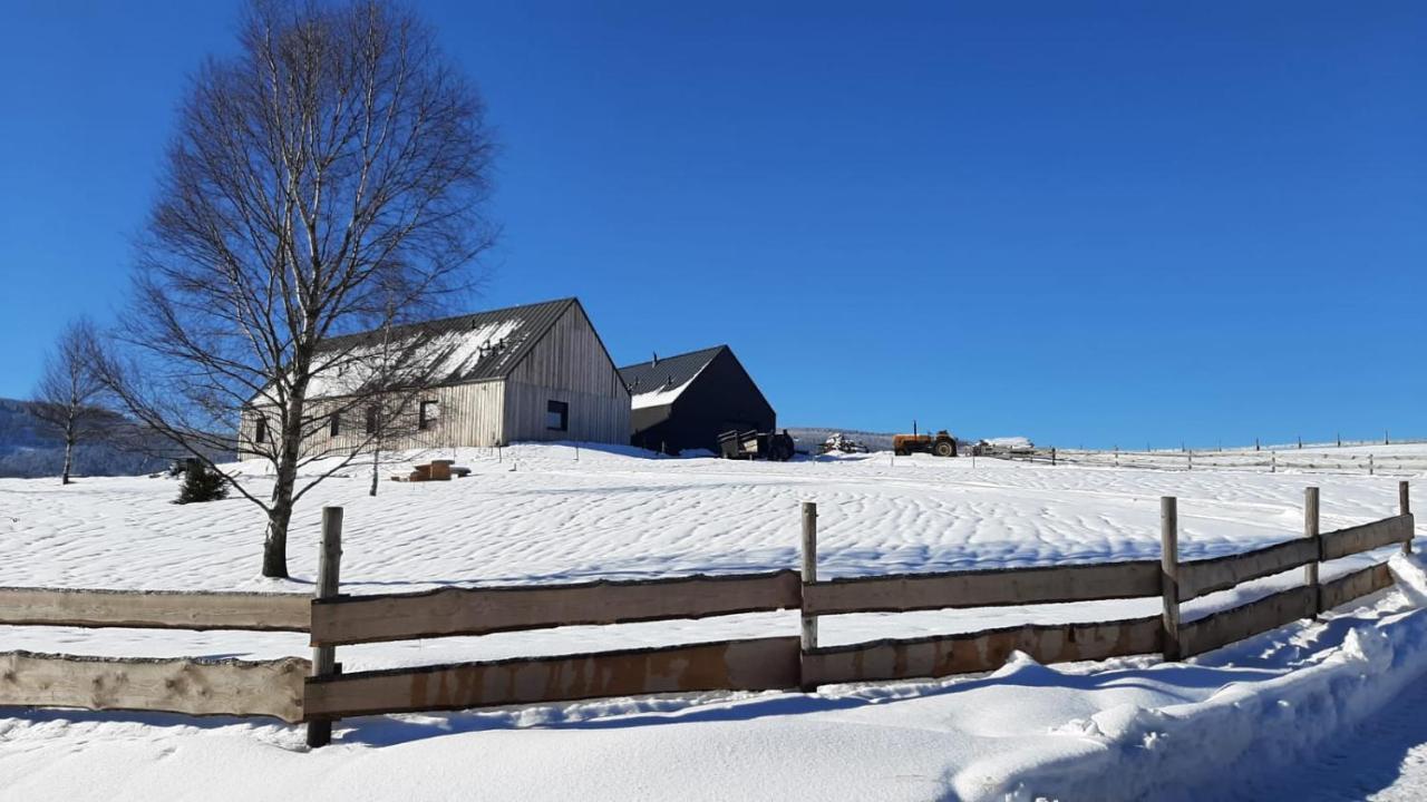 Wzgorze Owiec Sheep Hill Mostowice Экстерьер фото